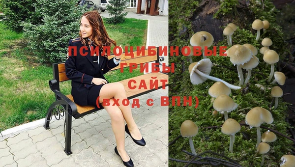 прущий лед Краснослободск