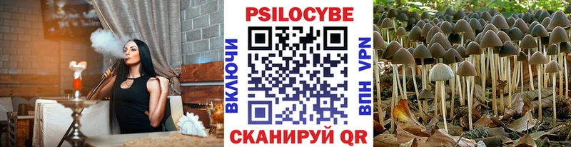 Купить закладки  Полярный  Галлюциногенные грибы Psilocybine cubensis 